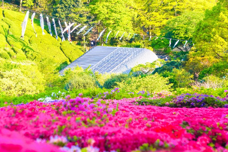 姫の沢公園