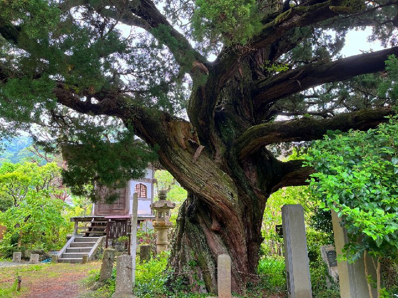 湯河原 城願寺