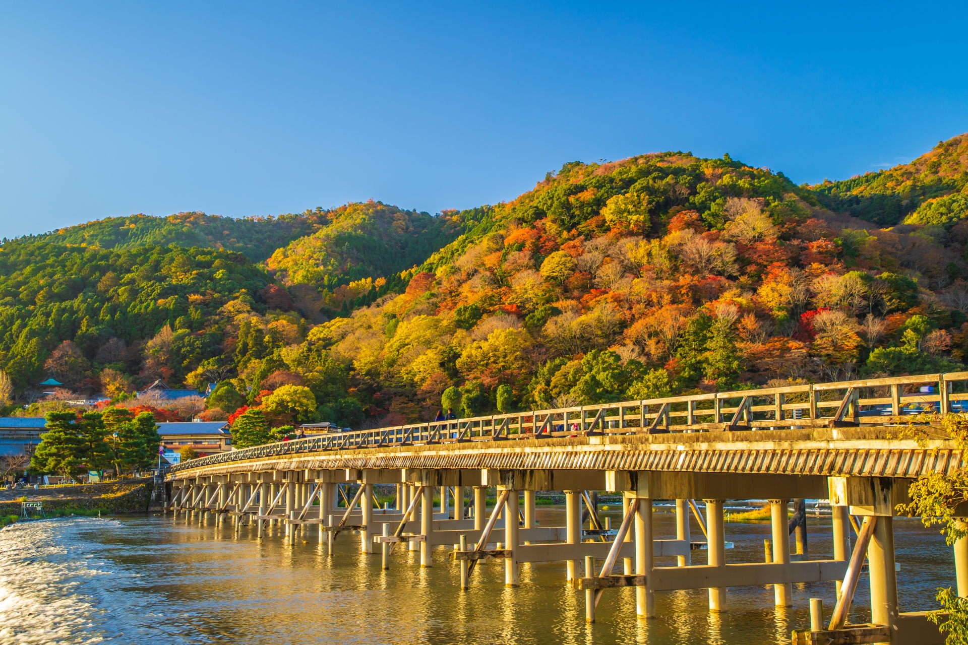 京都府嵐山　秋の渡月橋