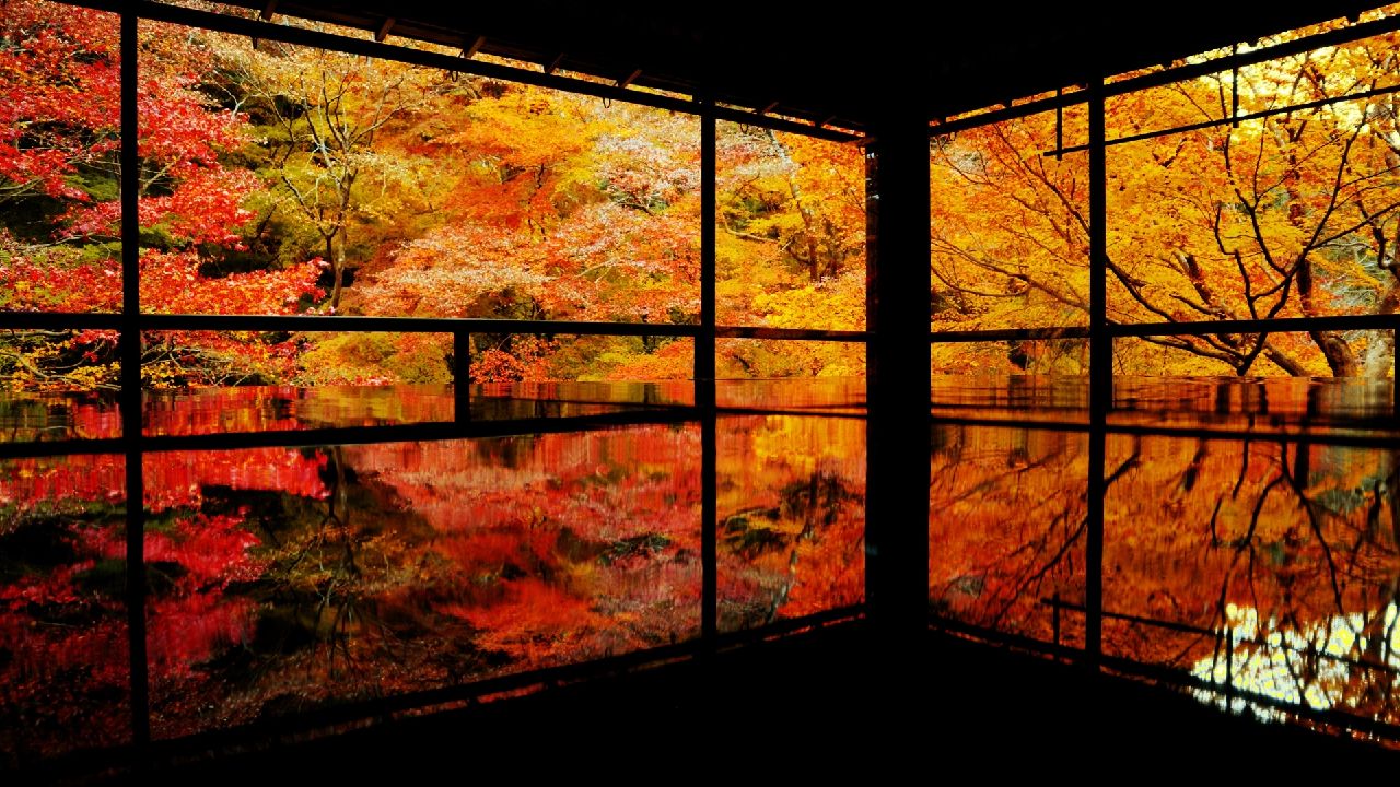 京都 紅葉 10 月 上旬_瑠璃光院