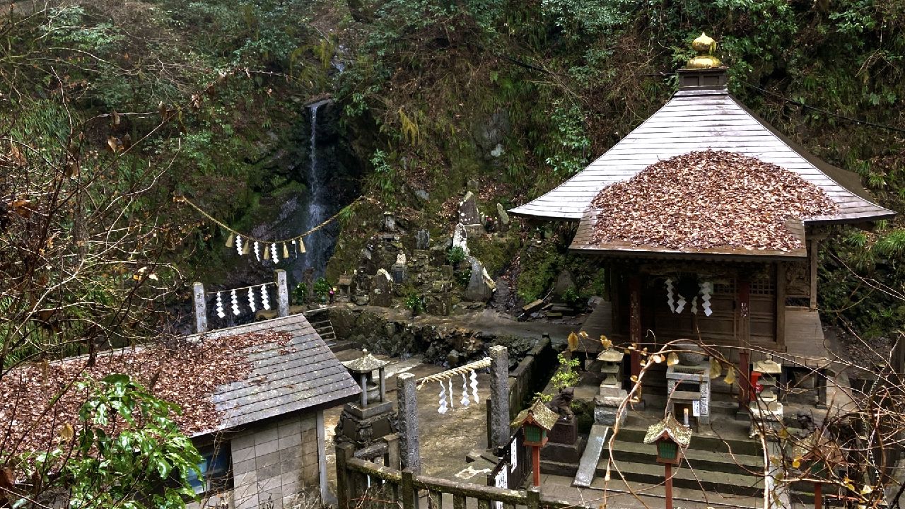 高尾山6号路琵琶滝