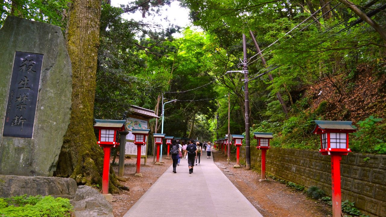 高尾山の登山道　1号路