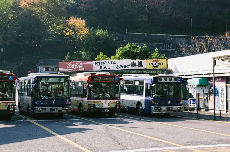 奥多摩氷川渓谷