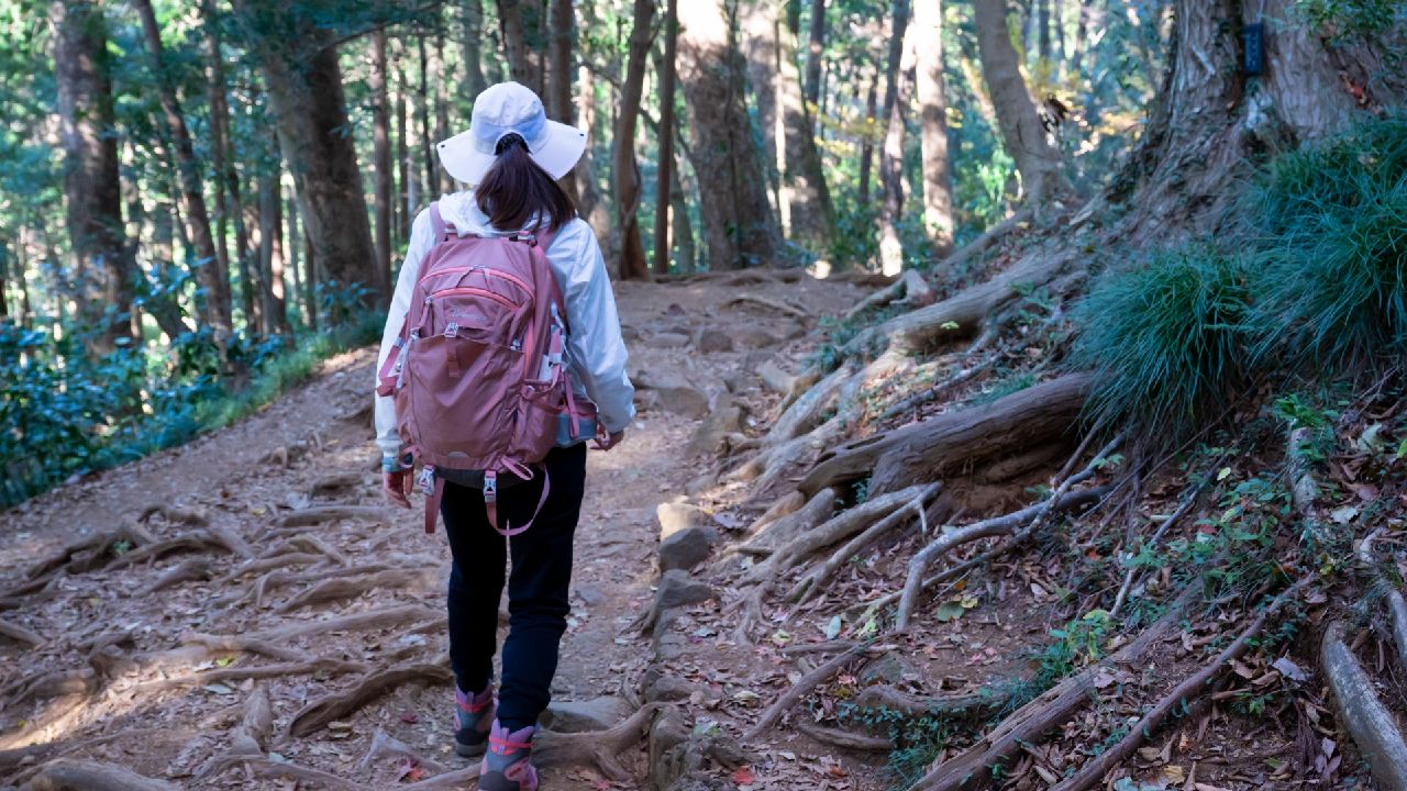 高尾山4号路を歩く山岳女子