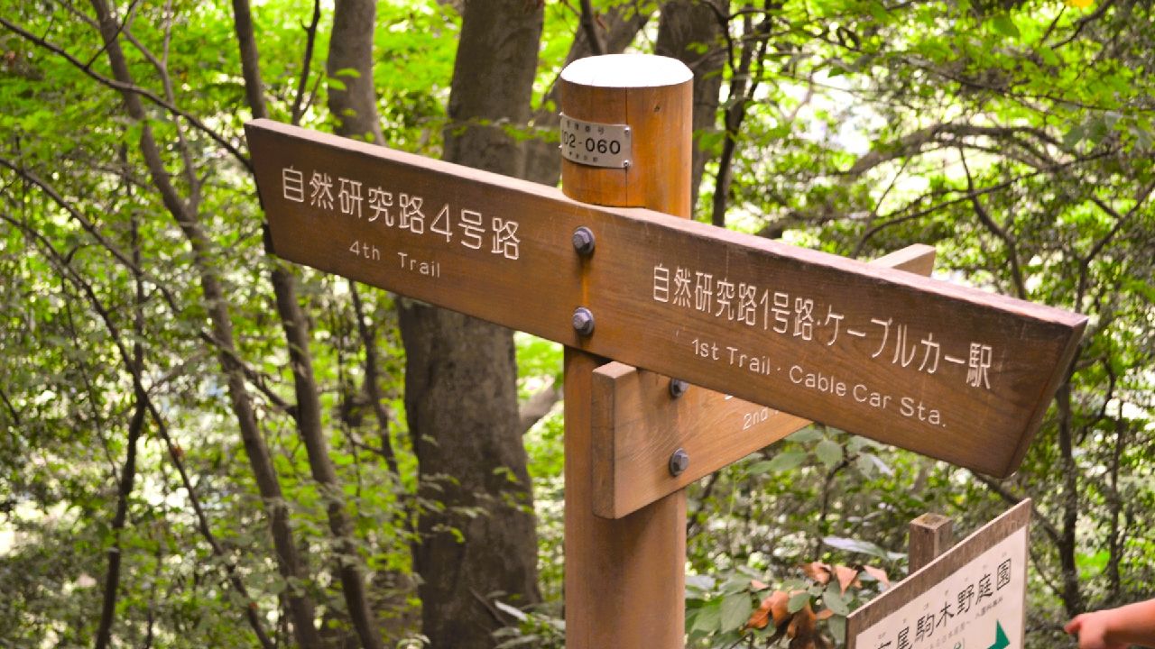 高尾山の登山道　分岐点　1号路と4号路