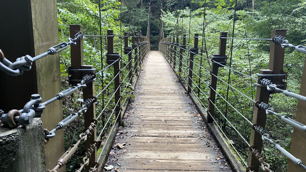 高尾山・4号路・みやま橋