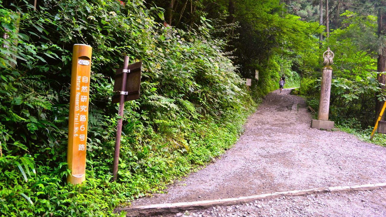 高尾山の登山道　6号路