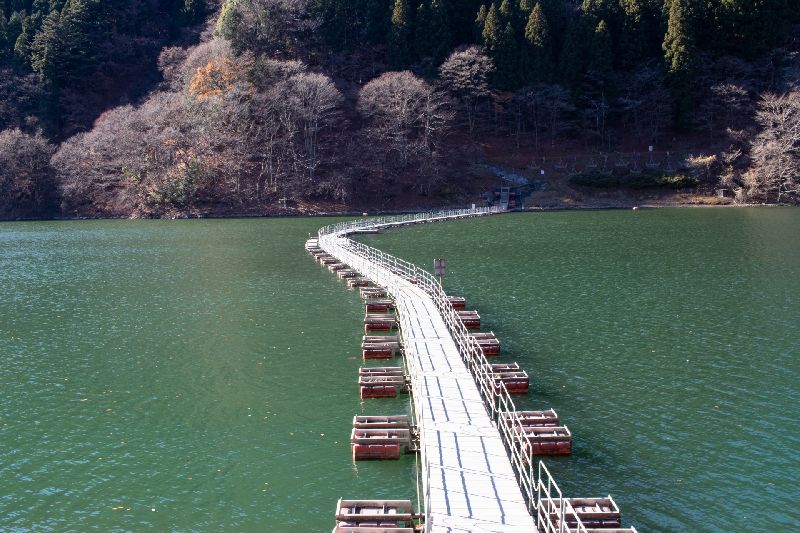 多摩湖ドラム缶橋