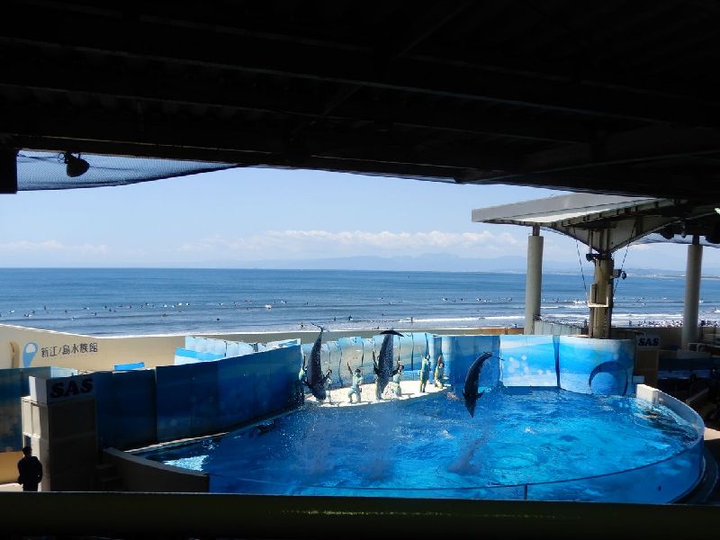 新江ノ島水族館